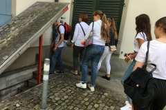 IMG-3599